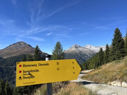 Foto von Kata entlang der Tour