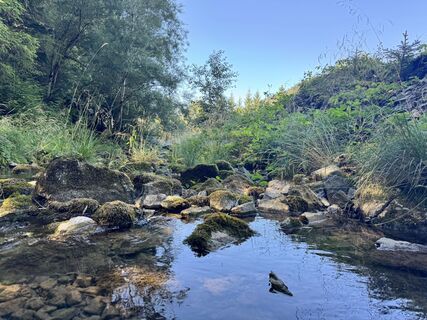 Foto de rahu a lo largo del recorrido