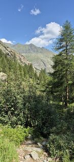 Photo de Annie Lecler4 le long du parcours