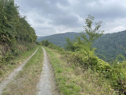 Foto von Claus Hechler entlang der Tour