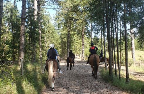 Reitausflug Les Crocs chevaux