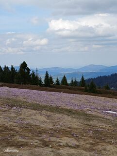 Foto de Romek Dwornik a lo largo del recorrido