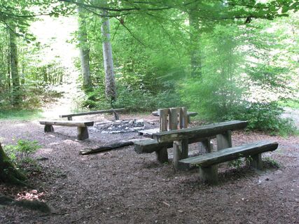 Rast-und Grillplatz am Einstieg