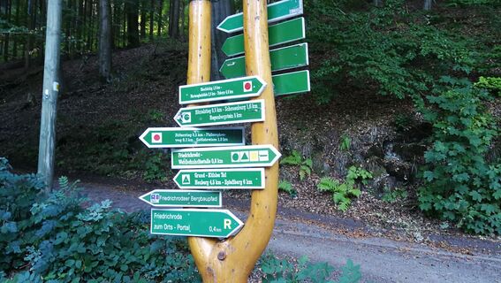 Von Friedrichroda zum großen Inselsberg