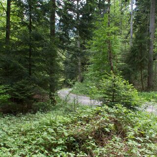 Schwandegg - Panorama Bike Etappe 11