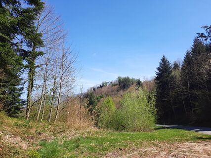 Foto von Monika gillitschka entlang der Tour