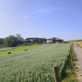Foto von Sonja Enzenhofer entlang der Tour