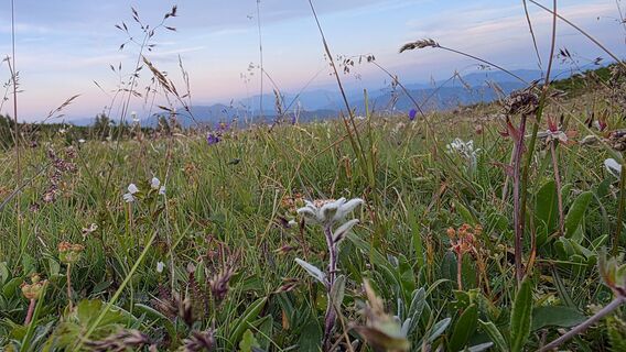 Foto fra Markus Krenn underveis på turen
