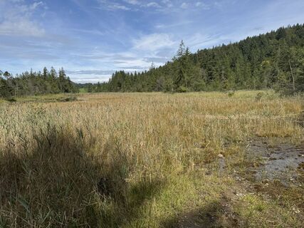 Photo de Robert - 1 le long du parcours