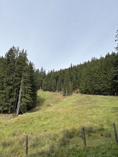 Photo de Heinz Sperl le long du parcours