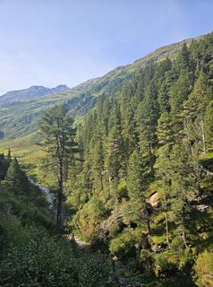 Fotografia z Marcus Fleischmann na trase