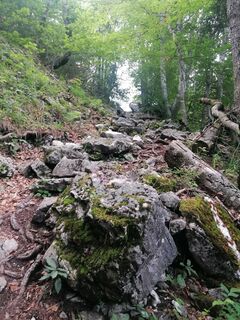 Zdjęcie z Sonce.S wzdłuż trasy