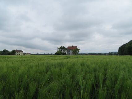 Amstette - Euratsfeld - St. Leonhard am Wald
