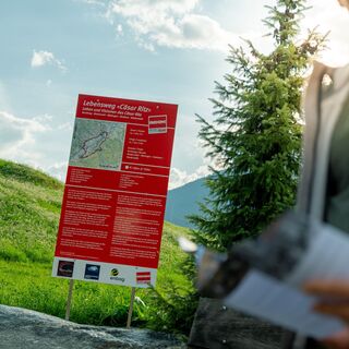 Leben und Visionen des Cäsar Ritz