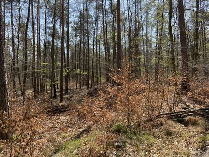 Fotografie z Attila Mihalcz na trase