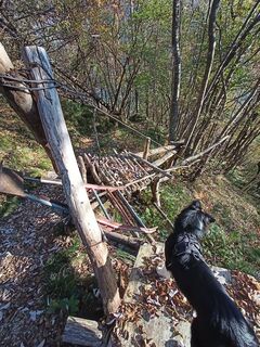 Foto de pat59a60 a lo largo del recorrido