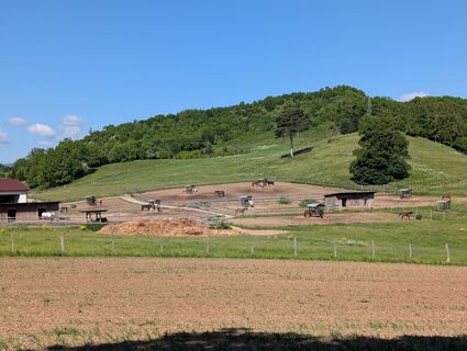 Foto von HOJ_09 entlang der Tour