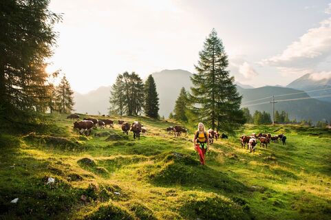 Landschaft