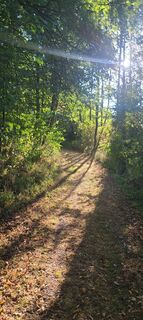 Photo de Wolf le long du parcours