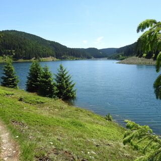 Unterbecken bei Goldisthal