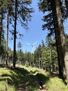 Foto von Dagmar Kutzenberger entlang der Tour