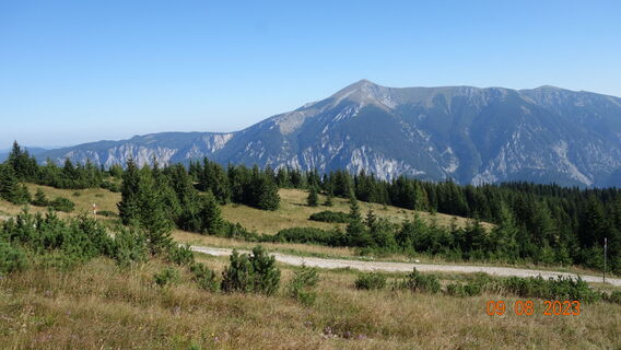 nahe der Ebenwaldlifte