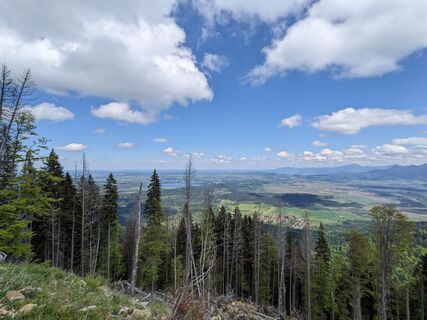 Fotografie z Peter Bendel na trase
