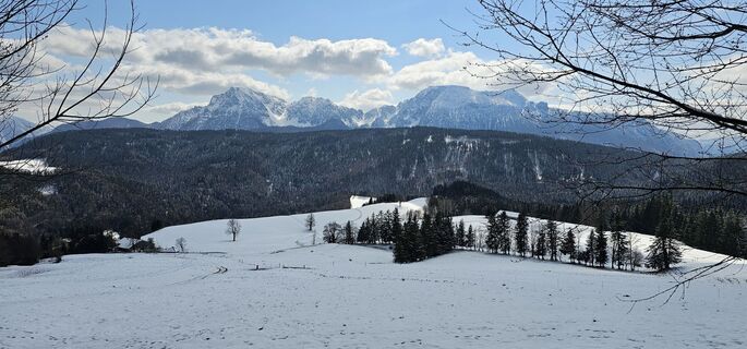 Fotografie z micsunel ciocirtau na trase
