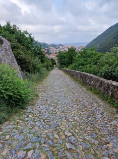 Foto från Mario Augustini under resans gång