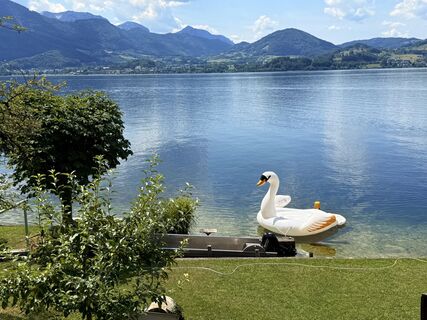 Fotografia z Natur_erleben_dg na trase