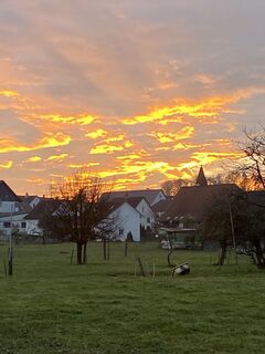 Photo de Christian Mark le long du parcours