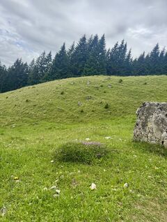 Photo de Caro Jakob le long du parcours