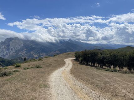 Foto von Michael Knieriem entlang der Tour