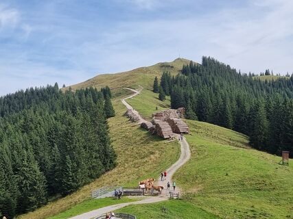 Fotografie z Felix na trase