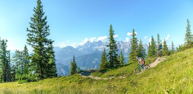 Mountainbiken auf dem Gassl Trail
