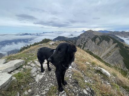 Photo de christian.roeckl le long du parcours