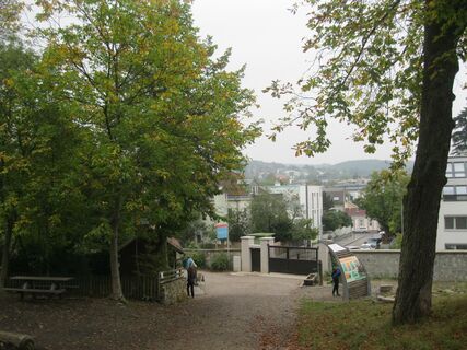 Lainzer Tiergarten