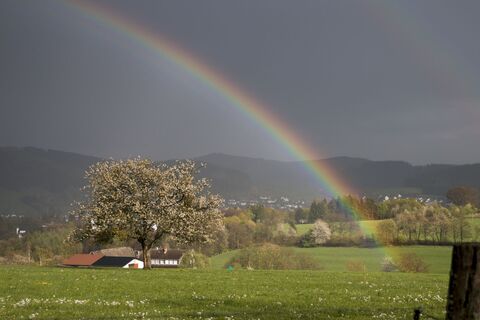 Wittgensteiner Panoramaweg
