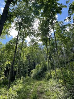 Photo de Martino68 le long du parcours