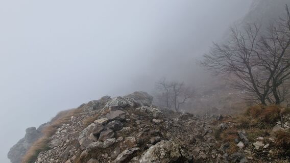 Fotografia z Nejc Zlobec na trase