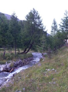 Photo de Klara Höfler le long du parcours