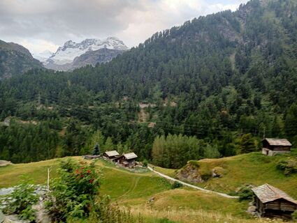 Fotografija s spletne strani simone ravasi na poti