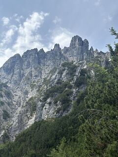 Photo de Pepe67 le long du parcours