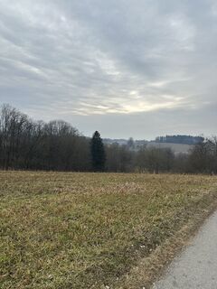 Fotografija s spletne strani Babs Holz na poti