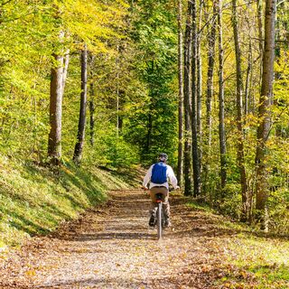 Mountainbiker auf dem Weg zum Wildschloss