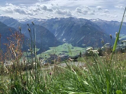 Foto von Koen De Wit entlang der Tour
