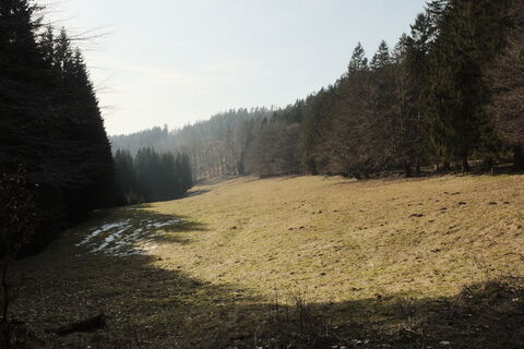 Photo de Christian Leube le long du parcours