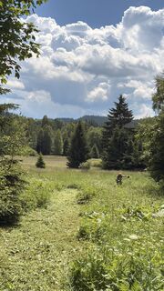 Fotografija s spletne strani Richard Vlcek na poti