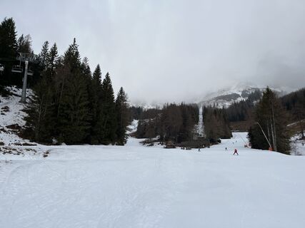 Foto von Amiks entlang der Tour