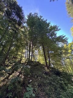 Foto von Denise Miller entlang der Tour